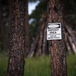Bigfoot Museum and Statue – Willow Creek, California
