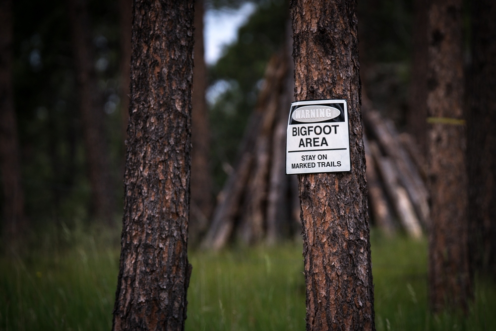 Bigfoot Museum and Statue – Willow Creek, California