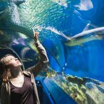 Ripley's Believe It or Not Aquarium, Toronto