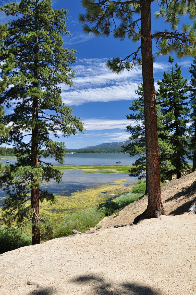 Top Reasons to Visit Big Bear Lake in the Fall