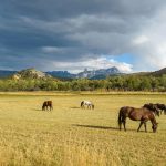 A Unique Outdoor Experience in Colorado
