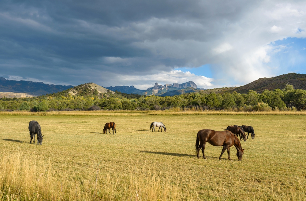 A Unique Outdoor Experience in Colorado