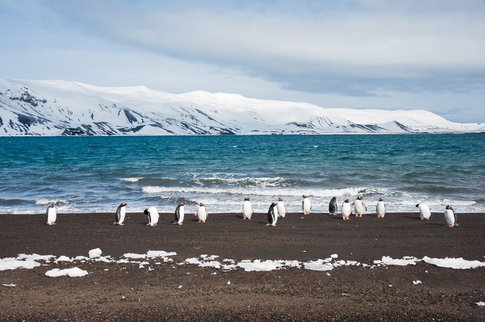 Deception Island – Southern Antarctica