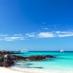 Five Great Reasons to Visit the Galapagos Islands Right Away