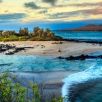 Galapagos Island Tours: When to Go