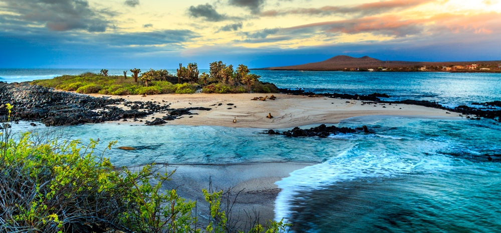 Galapagos Island Tours: When to Go