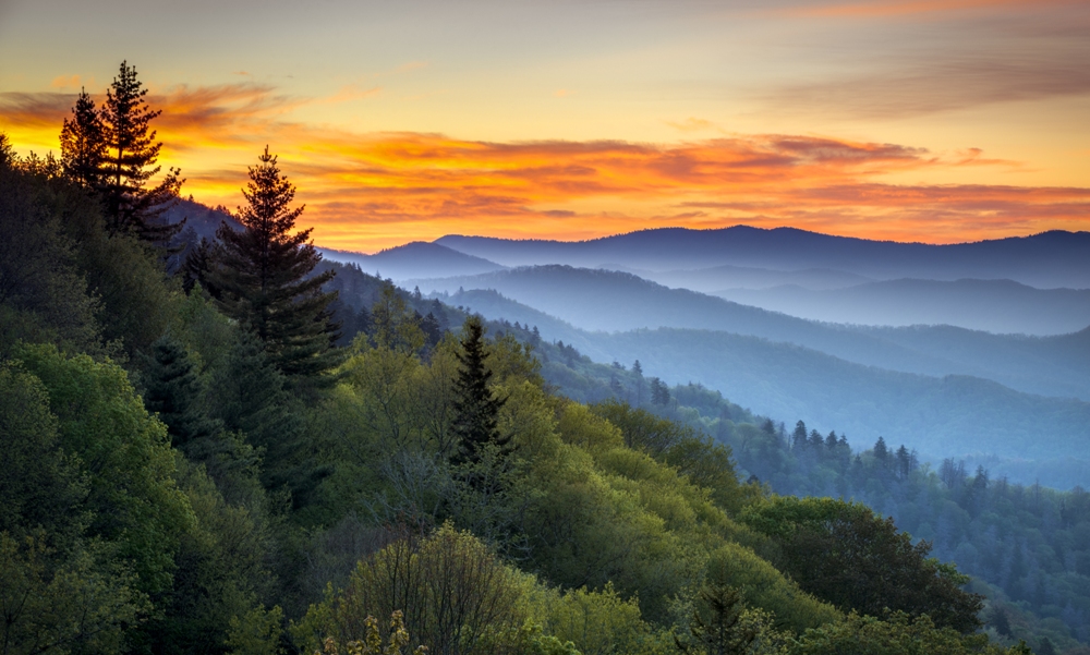 Great Smoky Mountain Wildlife Vacations