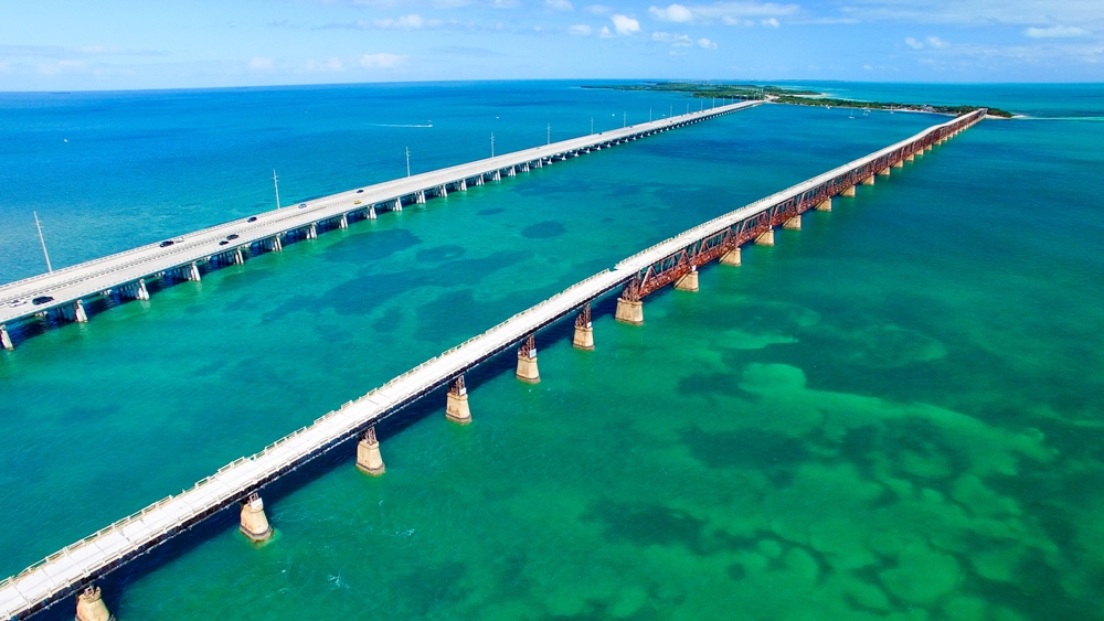 The Hungry Shark of Marathon, Florida