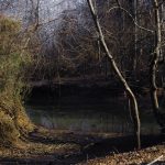 Legend of Boggy Creek – Peavy's Monster Mart – Fouke, Arkansas
