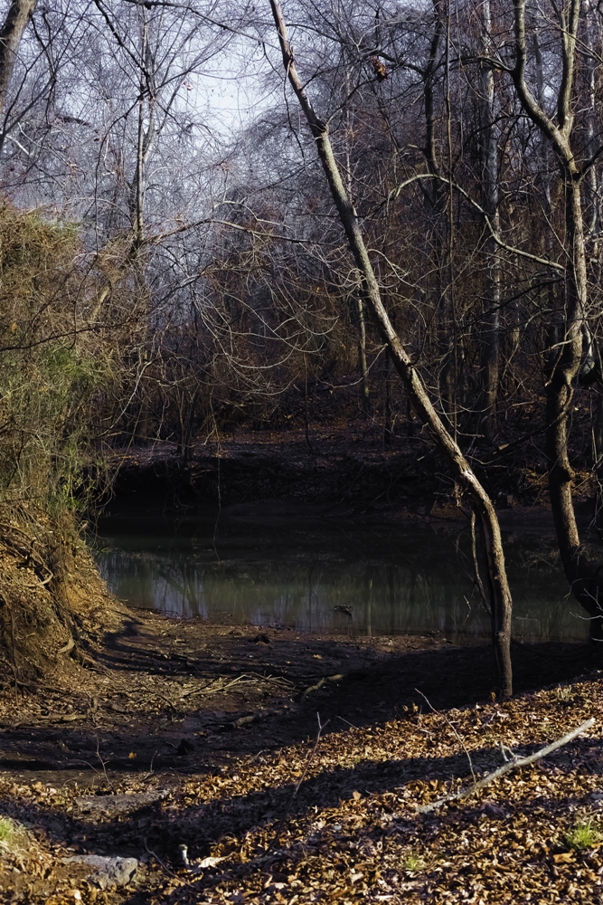 Legend of Boggy Creek – Peavy's Monster Mart – Fouke, Arkansas