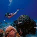 St. Croix U.S. Virgin Islands