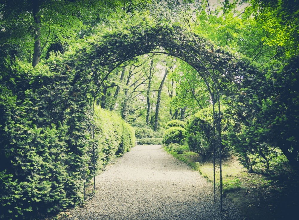 The Real Secret Garden – The Lost Gardens of Heligan