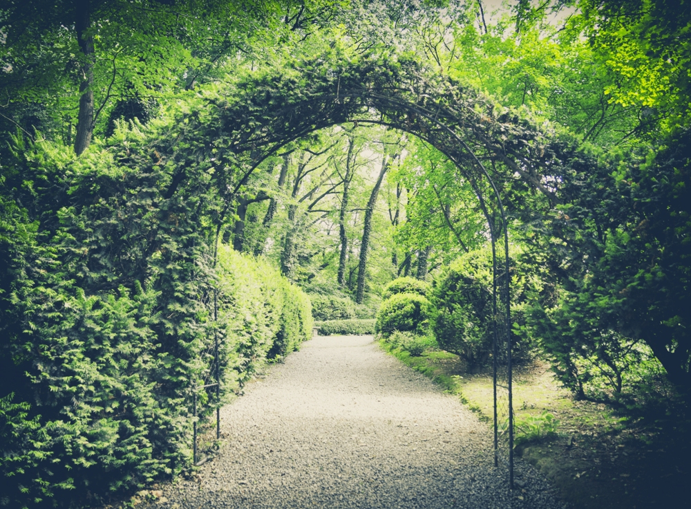 The Real Secret Garden – The Lost Gardens of Heligan